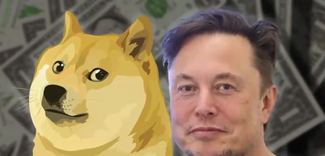 AI Kuantifikasi Dog